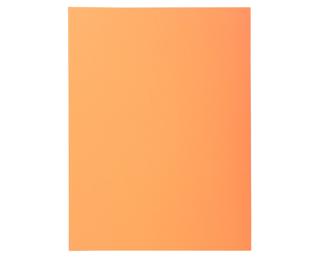 100er Packung Aktendeckel A4 SUPER 210 24x32cm 5-farben - Sand