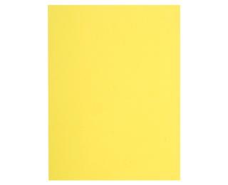 Pk 100 Sq. Folders Flash 220g Ast - Canary