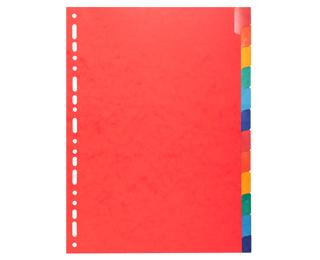 Tabbladen in glanskarton 225g met geplastificeerde gekleurde tabs - 12 tabs - A4 