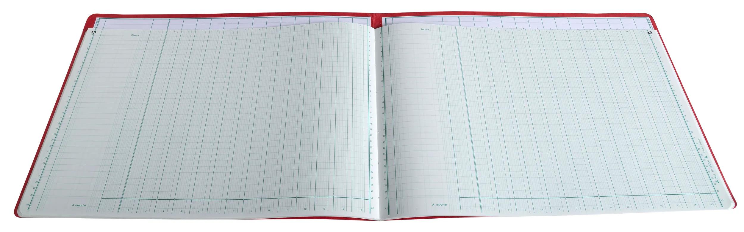 Exacompta - Piqûre comptable - 5 colonnes par page - 32 x 25 cm - 80 pages Pas Cher | Bureau Vallée
