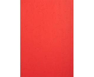 Paquet de 25 couvertures grain cuir pour reliure A4 