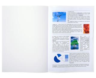 Pack of 100 legal insert folders 22x31 cm - White