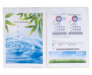 Packung mit 10 Dokumentenschutzhüllen 2-teilig aus PP 120µ, für Format DIN A4 - Kristall