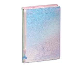 Agenda Forum Color Ariel 12 x 17 cm Journalier Août 2025 à Juillet 2026 - Argent