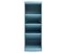Blue-grey
