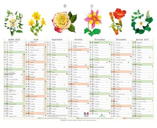 Calendrier Fleurs avec illustrations 43 x 33,5 cm Semestriel 2026