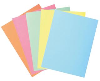 Paquete de 50 Subcarpetas con 2 solapas Super 210 g/m2 