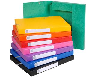 Boite de classement Cartobox Dos 25mm Carte lustrée - A4 
