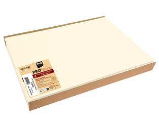 Barquette de 100 sets de table spundbond, unis - Format 30x40cm