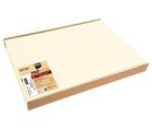 Barquette de 100 sets de table spundbond, unis - Format 30x40cm