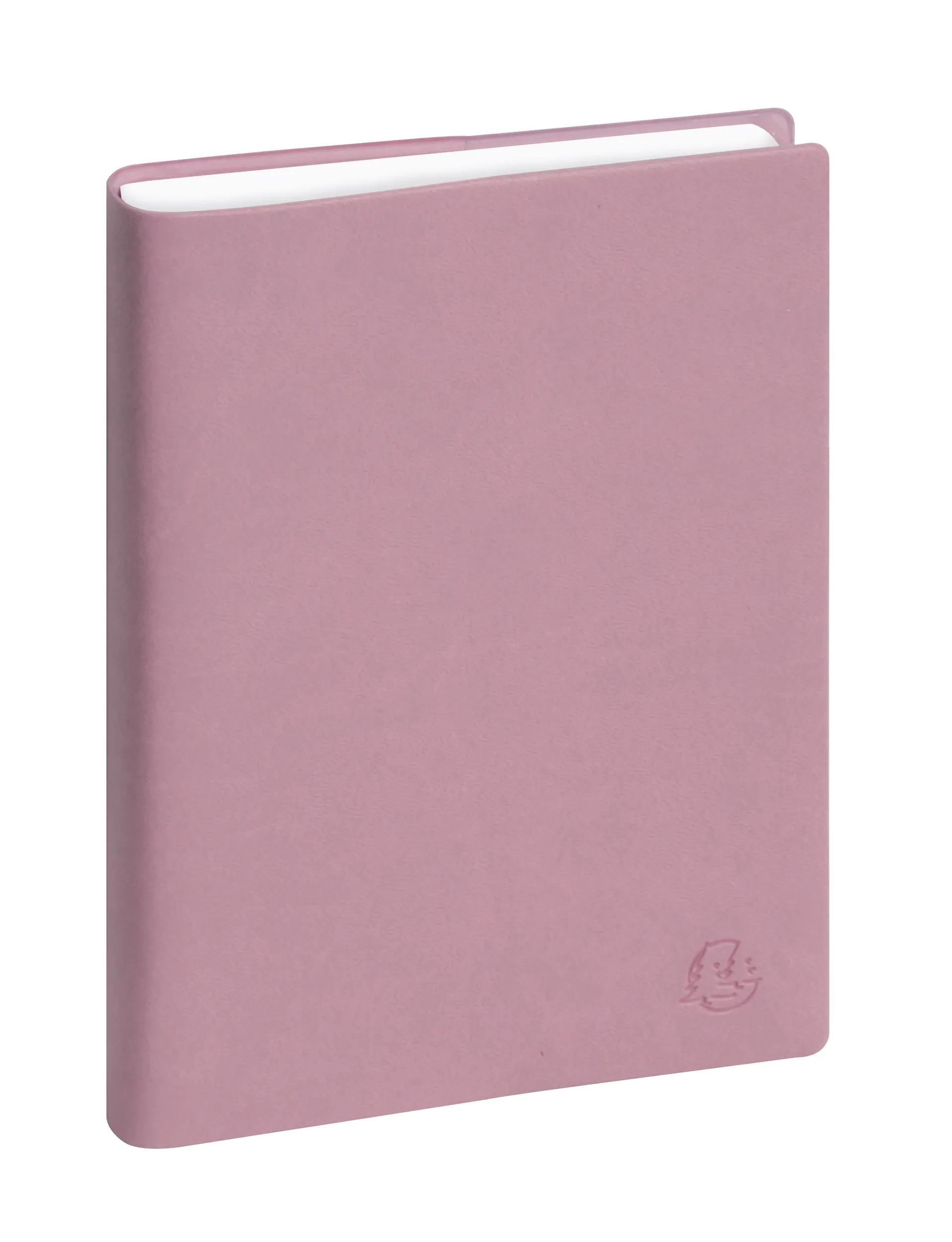 Agenda De Bureau 2026 Exacompta - Journée Sur Une Page, 4 Utilisateurs, 7h-21h45 | Format 18x22.5 Cm, Couverture Amovible Noir - 11