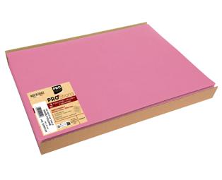 Barquette de 100 sets de table spundbond, unis - Format 30x40cm
