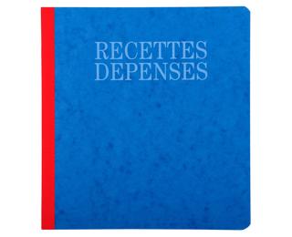 Piqûre 21x19cm recettes-dépenses 80 pages - Couleurs assorties