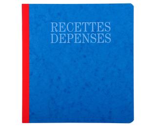 Piqûre 21x19cm recettes-dépenses 80 pages - Couleurs assorties