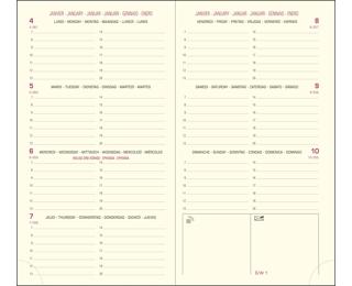 Recharge Agenda de poche Eurotime 16 8,5 x 16 cm Semainier Janvier à Décembre 2027 - Tranche or