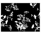 500 Sets de table papier 30x40 "Garden"