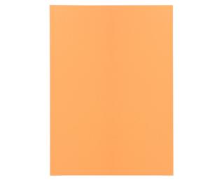 Pack of 100 folders SUPER 60 - 22x31cm - Buff