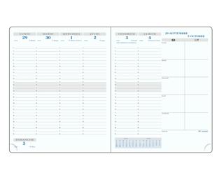 Recharge semainier SAS 22 Non-stop 18.5 x 22.5 cm Aout 2025 à Août 2026.