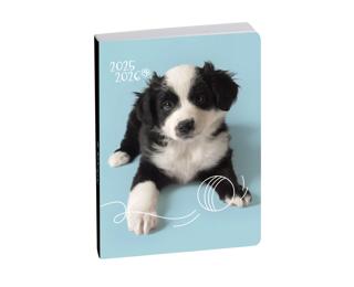 Agenda Forum Animaux Chiot Balle 12 x 17 cm Journalier Août 2025 à Juillet 2026 - Visuel