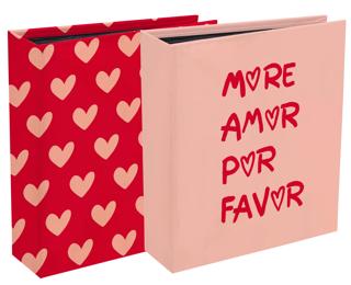 Alb fotos con fundas 60 fotos 11x15 Love - Diseños surtidos