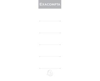Exacompta Lever Arch File 70mm Spine Labels - White