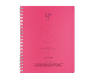 Agenda de bureau SAD 19S Linicolor 14 x 18 cm Semainier Septembre 2026 à Décembre 2027 - 16 mois - Couleurs assorties