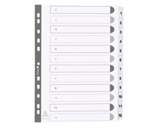 Bedruckte Register mit plastifizierten Taben, 12 Taben von 1 bis 12, DIN A4 - Weiß