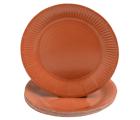 20 Assiettes en carton rondes, 23 cm
