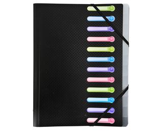 Exacompta Opak Multipart File, A4 (12 Section) - Black