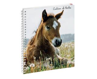 Cahier de textes Animaux 17 x 22 cm - Visuels assortis