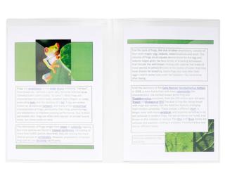Tweezijdige presentatiemappen - halfharde PP 40/100ste - A4 & A3 - Transparant
