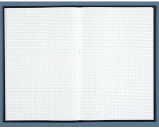 Registre 297X210 Quadrillé 192 pages 
