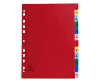 Divisori numerici 12 tasti 1-12 polipropilene colori A4 120 micron - A4 A4 