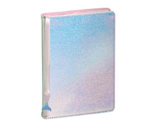 Agenda Forum Color Ariel 12 x 17 cm Journalier Août 2026 à Juillet 2027 - Couleurs assorties