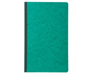 Piqûre 32x19,5cm recettes-dépenses 80 pages - Couleurs assorties