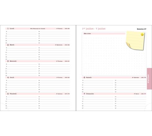 Agenda De Bureau SAS 18S Lady Color Design 15 X 17 Cm Semainier Septembre 2025 à Août 2026. - Visuel