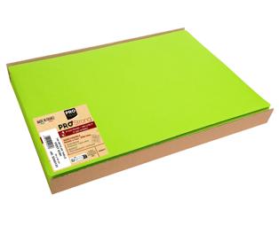 Barquette de 100 sets de table spundbond, unis - Format 30x40cm