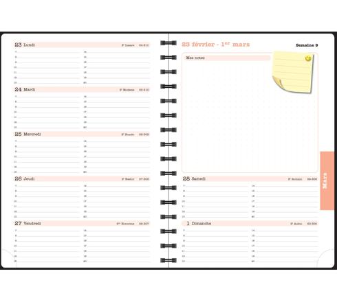 Agenda Semainier SAD 16 Spiralé Exacompta - Format 9x16 Cm, Sept 2025 à Déc 2026, Multilingue, Couverture Aléatoire