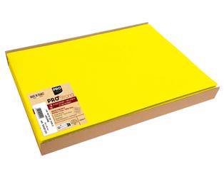 Barquette de 100 sets de table spundbond, unis - Format 30x40cm