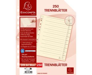 Trennblatt Kraftkarton 230g/qm cham 