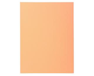Pk 100 Folders SUPER 160 Salmon - Buff