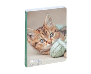 Agenda Forum Animaux Chaton 12 x 17 cm Journalier Août 2024 à Juillet 2025 - Visuels assortis