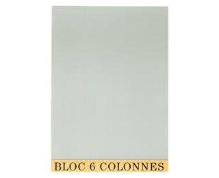 Blok boekhoudcontrole 29,7x21cm - 6 kolommen - 70 bladen 