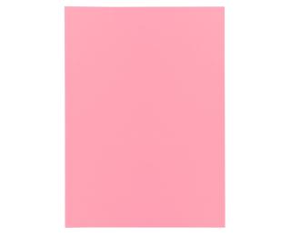 Paquete de 250 Subcarpetas de papel Super 60 g/m2 - Rosa