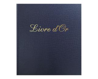 Libro oro 140p 21x19cm Prestige azul 