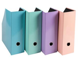 Exacompta Aquarel Magazine Files, A4 (Set of 2) - Assorted colours