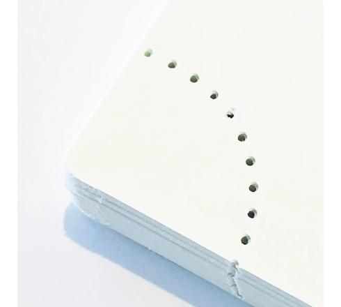 EXACOMPTA Agenda De Bureau Lady 18S Spiralé Dodo & Cath 15 X