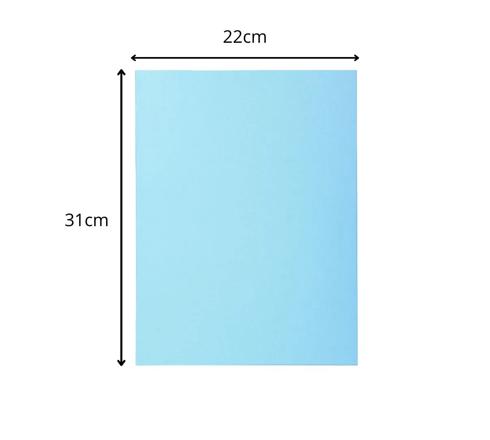 Rainex 100 Chemises 24 X 32 Cm 250 G Coloris Aléatoires - Chemise - | Muséericorde