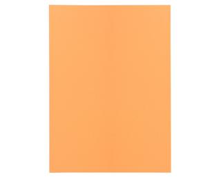 Paquet de 250 sous-chemises SUPER 60 - 22x31cm - Bulle
