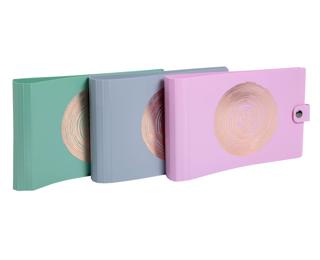 Classeur pour fiches bristol 2 anneaux 30mm PP recyclé Ellipse 